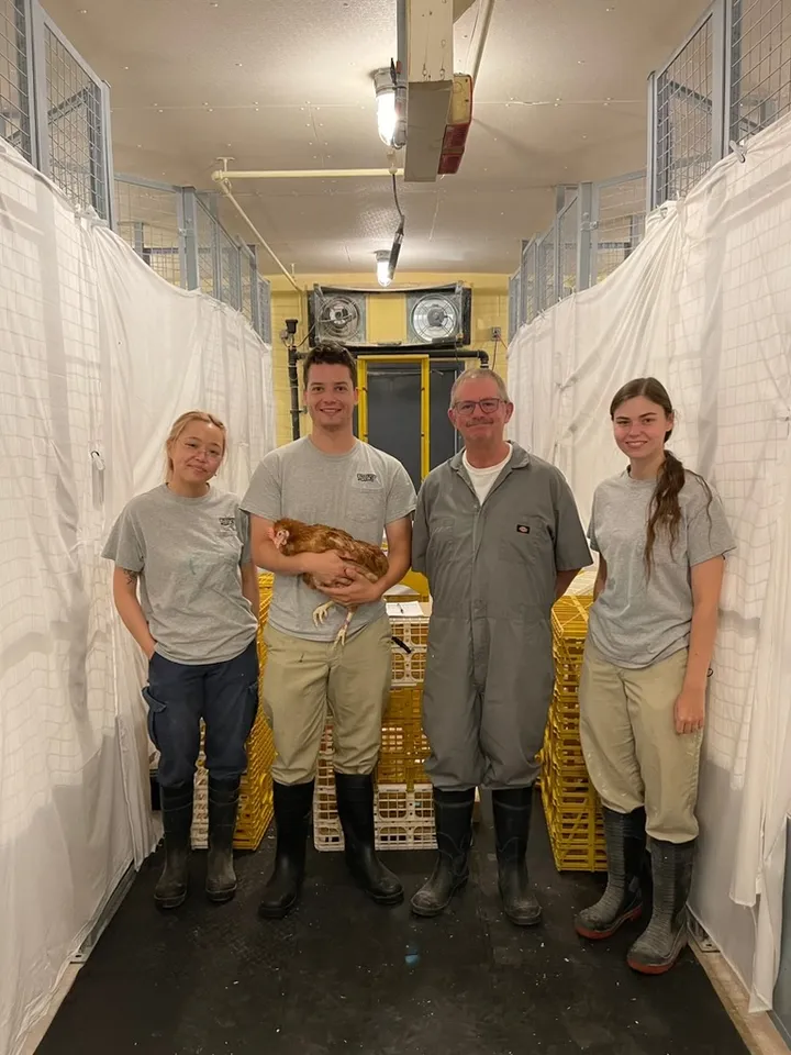 Don Powers and the Guelph team in protective gear in the hen barn, one holding a laying hen
